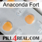 Anaconda Strong 24